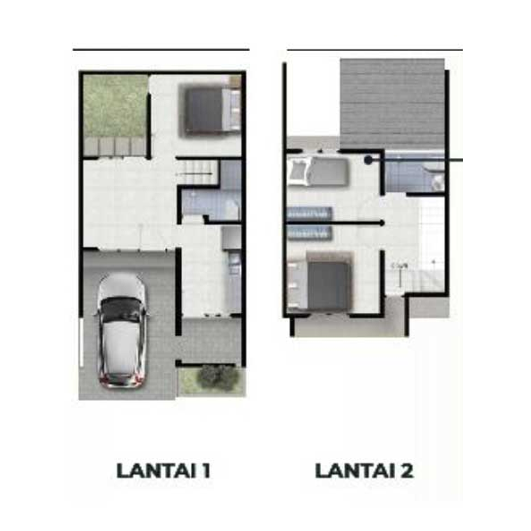 Layout Celia